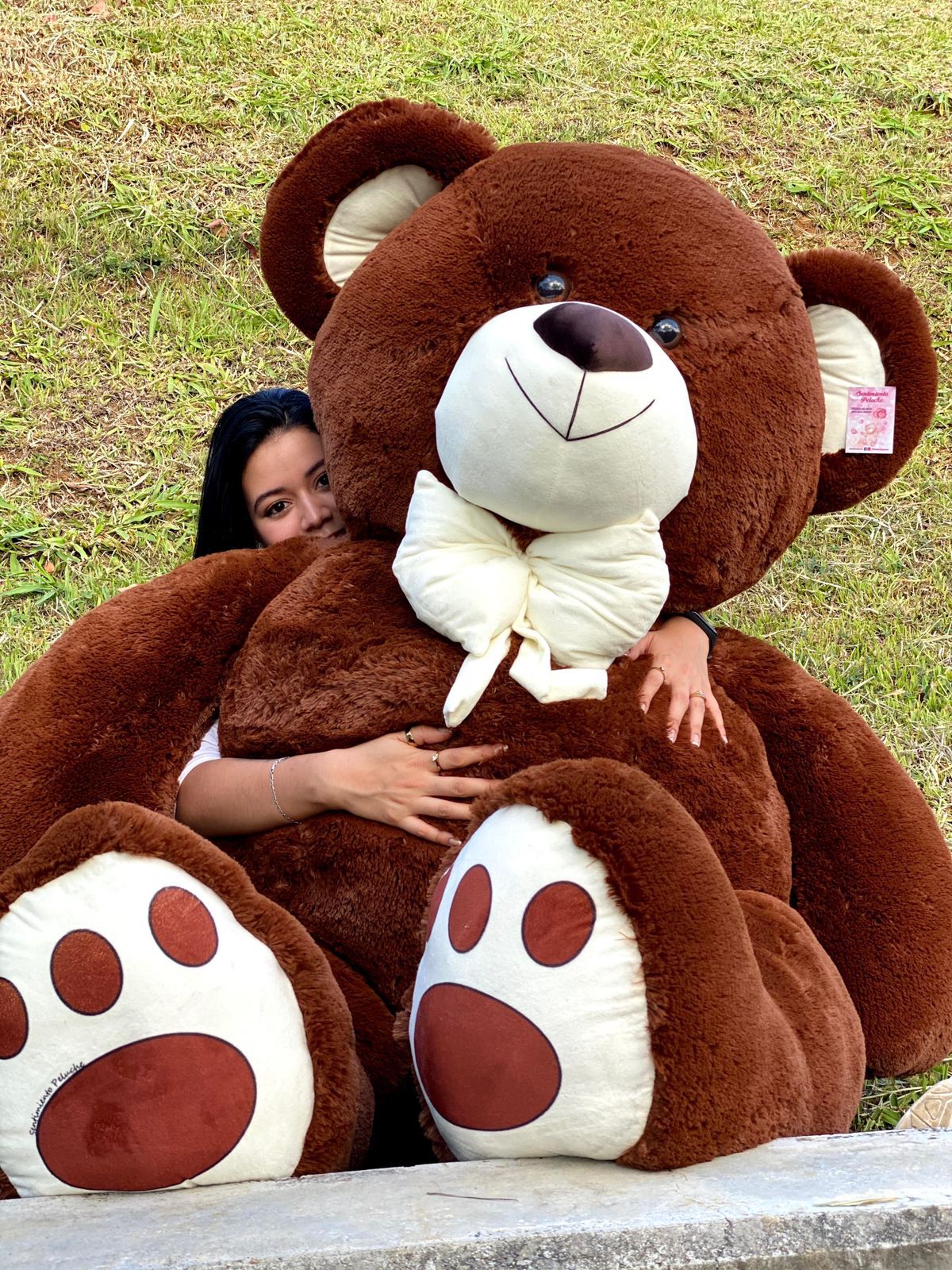 🧸 Oso de Peluche Mega Gigante (1.85 Metros) | El Regalo Más Grande de Colombia